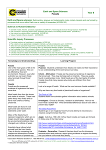 Fossils - Goyder.net.au
