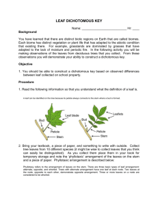 leaf dichotomous key - Blue Valley School District