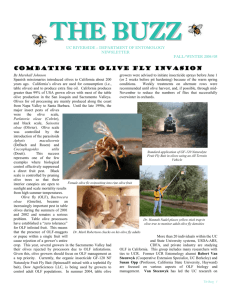 Newsletter - Department of Entomology