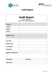 Annex 3 - Auditing Guide, Audit Report Template