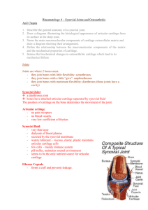 Rheumatology 4 – Synovial Joints and Osteoarthritis