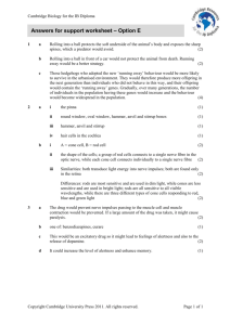 Answers for support worksheet – Option E