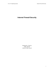 Internet Firewall Security