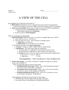 A View of the Cell