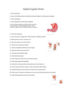 Digestive System Review - McKinney ISD Staff Sites