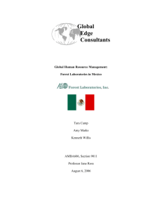 Mexico Subgroup Report - Global Edge Consultants