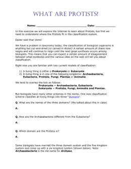 Sporozoa classification image