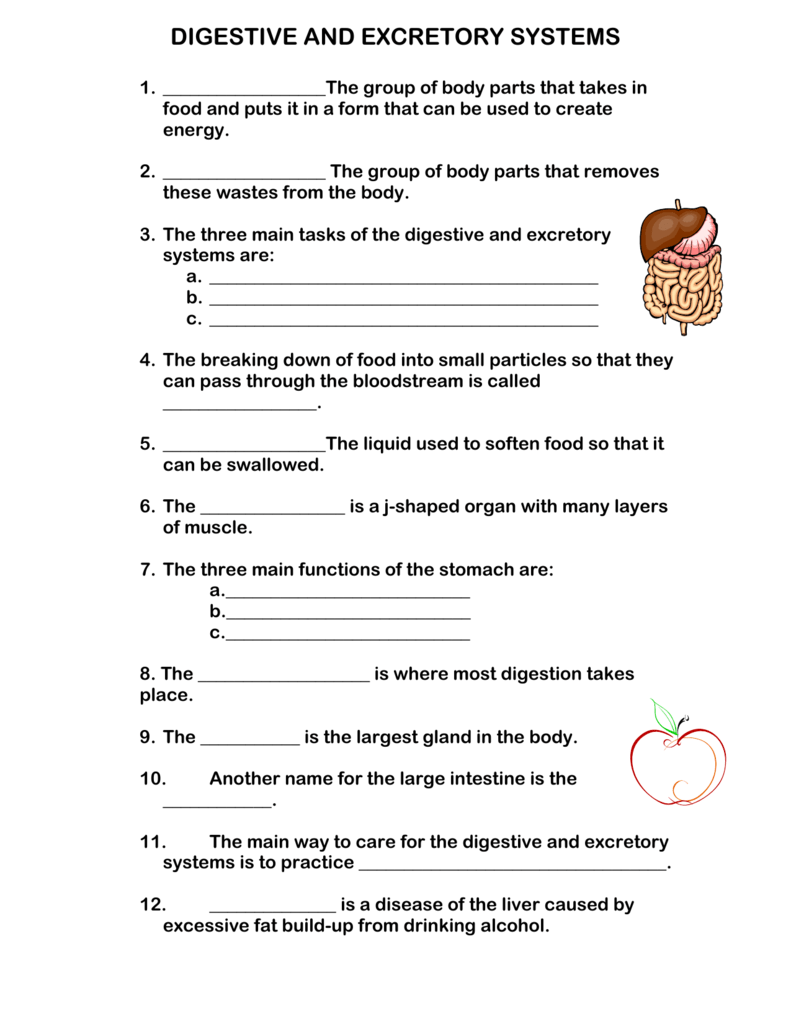 case study questions on digestive system