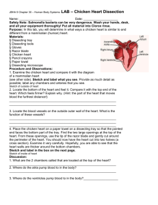 JBHA 9 Chapter 30 – Human Body Systems LAB – Chicken Heart