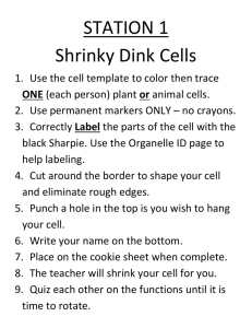 STATION 1 Shrinky Dink Cells 1. Use the cell template to color then