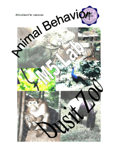 Animal Behaviour lab