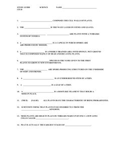 study guide ch 6 science name