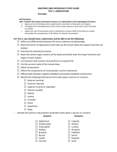 ANATOMY AND PHYSIOLOGY STUDY GUIDE TEST 1