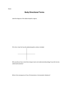 Name: Body Directional Terms Label the diagram of the