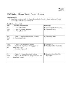 B-block SWS weekly planner