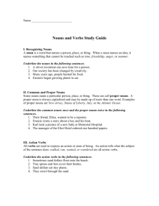 Nouns and Verbs Study Guide