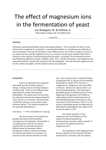 The effect of magnesium ions in the fermentation of yeast