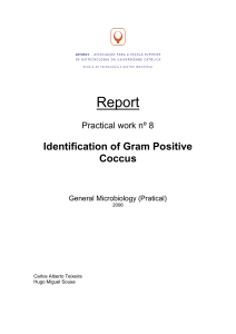 ETGI – Penafiel General Microbiology Report Practical work nº 8