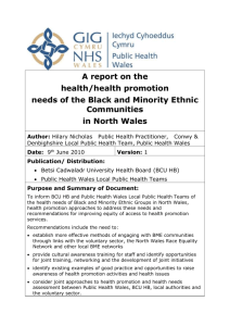 BME Health Promotion report version 1 9 6 10