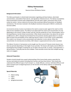 Kidney Homeostasis CP Summary