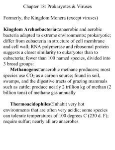 Bacteria notes (Ch. 18)