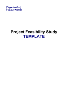 Preliminary Project Feasibility Study Template Static Text Introduction