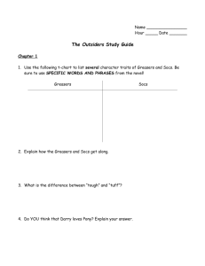 Outsiders Chapter Study Guides