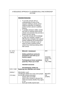 BULLYING WORKSHOP OUTLINE