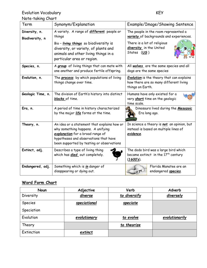 Evolution Voary Notetaking Chart