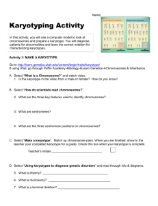 Karyotyping Activity Online