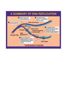 DNA Pictures