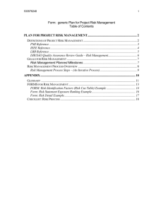 Plan TEMPLATE for Project Risk Management