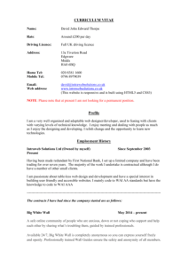 CURRICULUM VITAE - Intraweb Solutions Ltd