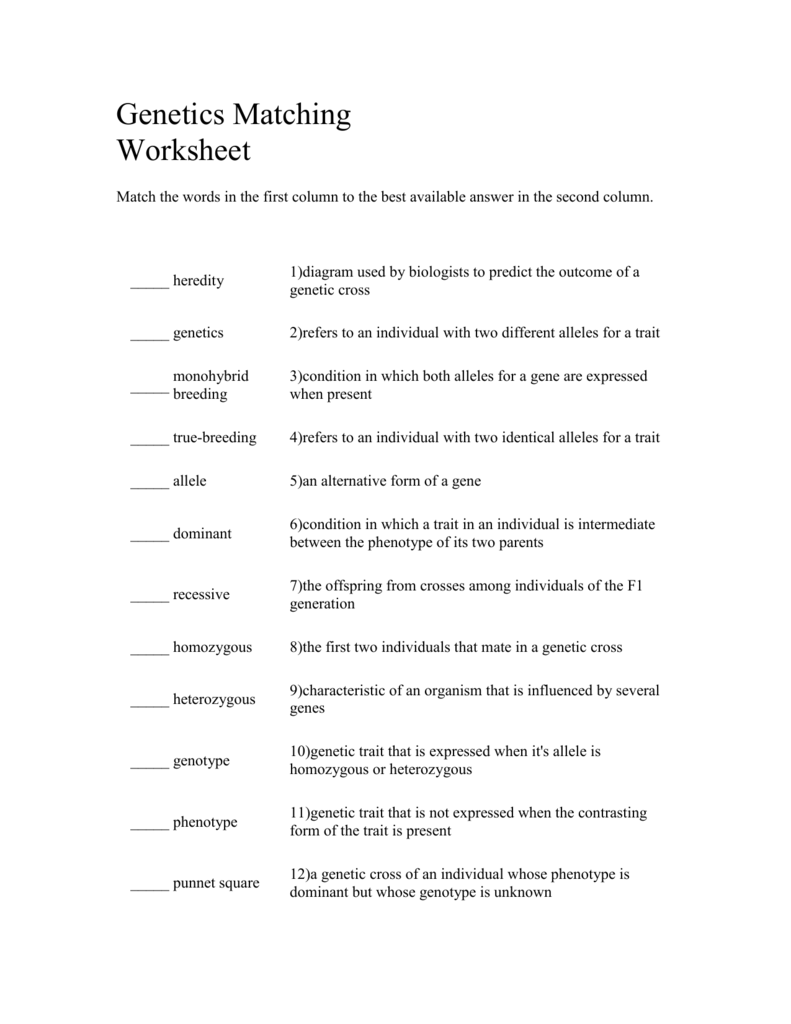 genetics-matching-worksheet