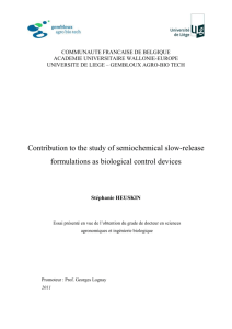 Many people contributed to the achievement of this PhD thesis