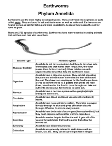 earthworm [annelid – segmented worm]