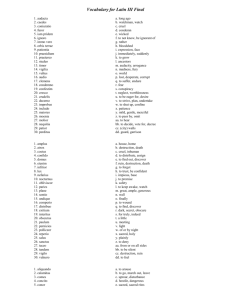 Vocabulary for Latin III Final