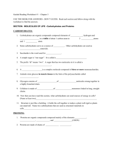 Guided Reading Worksheet #1 – Chapter 3 USE THE BOOK FOR