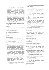 a dictionary of modern written arabic