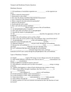 Practice Qs For Transport and Membranes