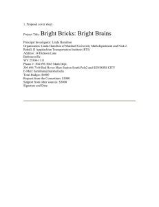 1. Proposal cover sheet Project Title: Bright Bricks: Bright Brains