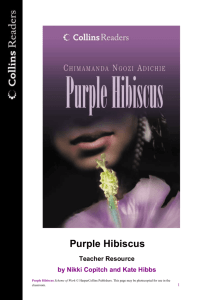 Purple Hibiscus Teacher Resource by Nikki Copitch and Kate Hibbs
