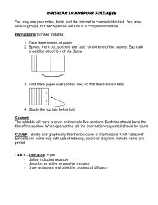 Cell Transport Foldable Instructions