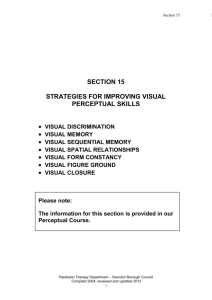 SECTION 15 - Strategies for improving Visual Perceptual Skills