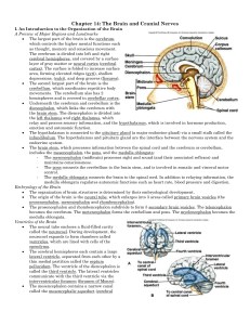 Ch 14 Student Handouts