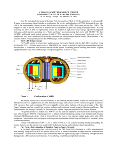 “A Tokamak Neutron Source for Hybrids”, Georgia Institute of