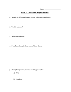 Plate 15 Notes - Bacterial Reproduction