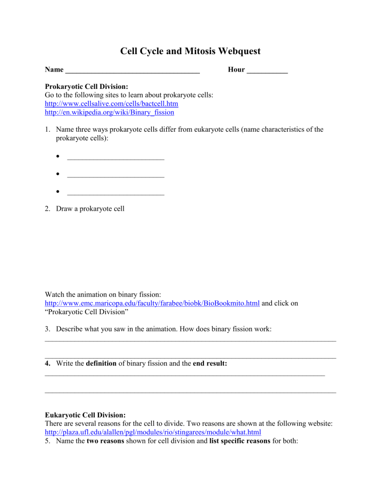 Cell Division Webquest