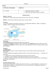 Protozoa (amoeba) - thephysicsteacher.ie