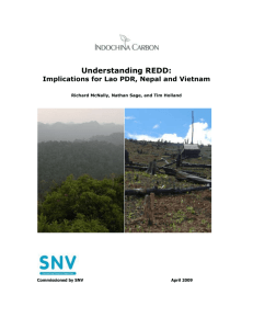 snv redd paper - Are you looking for one of those websites